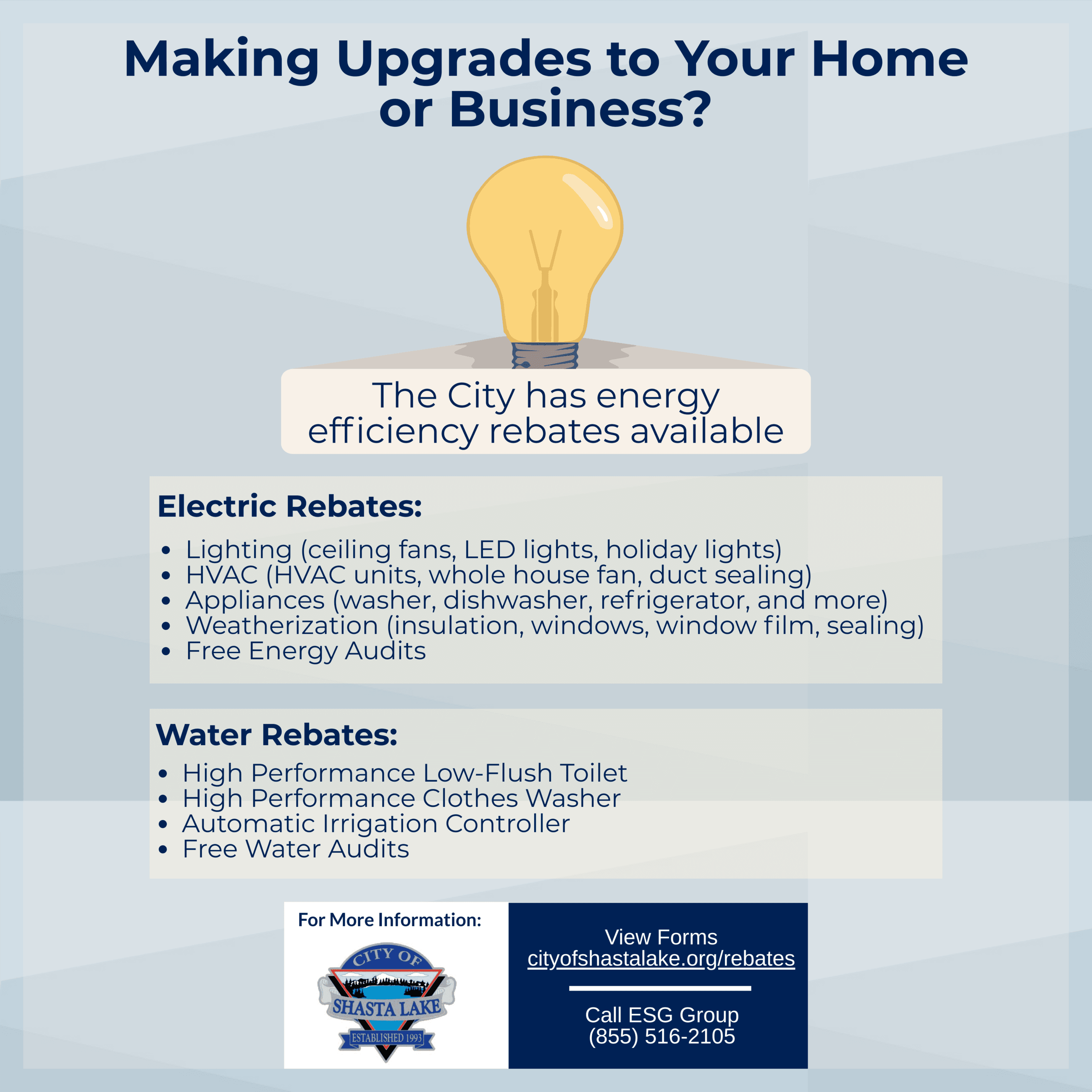 rebate-program_infographic