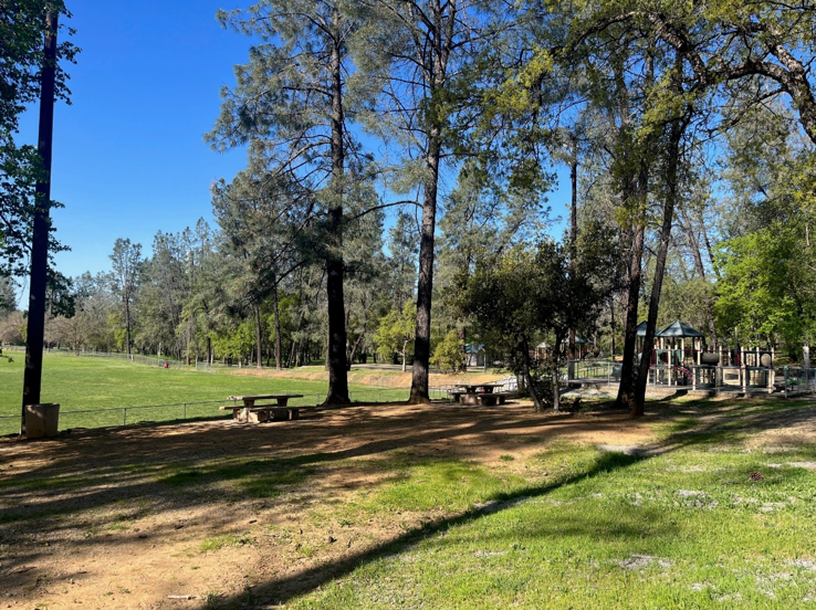 Polf Picnic Site